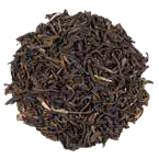 China Pai Mu Tan Special