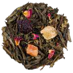 Magnificent Elderberry